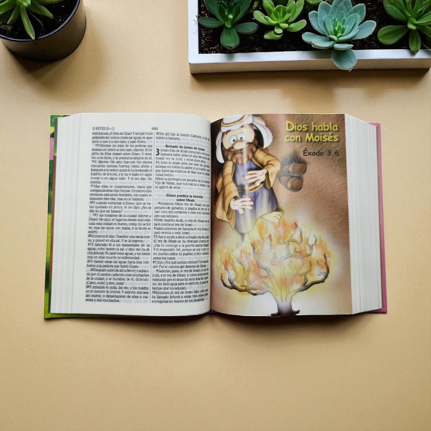 SANTA BIBLIA AMIGOS POR SIEMPRE