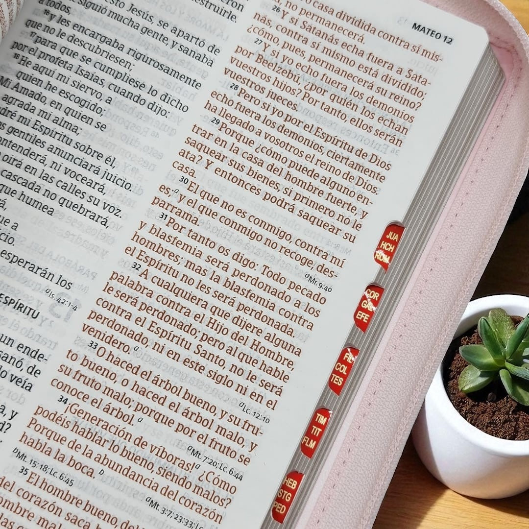 BIBLIA RVR1960 - CON REFERENCIAS