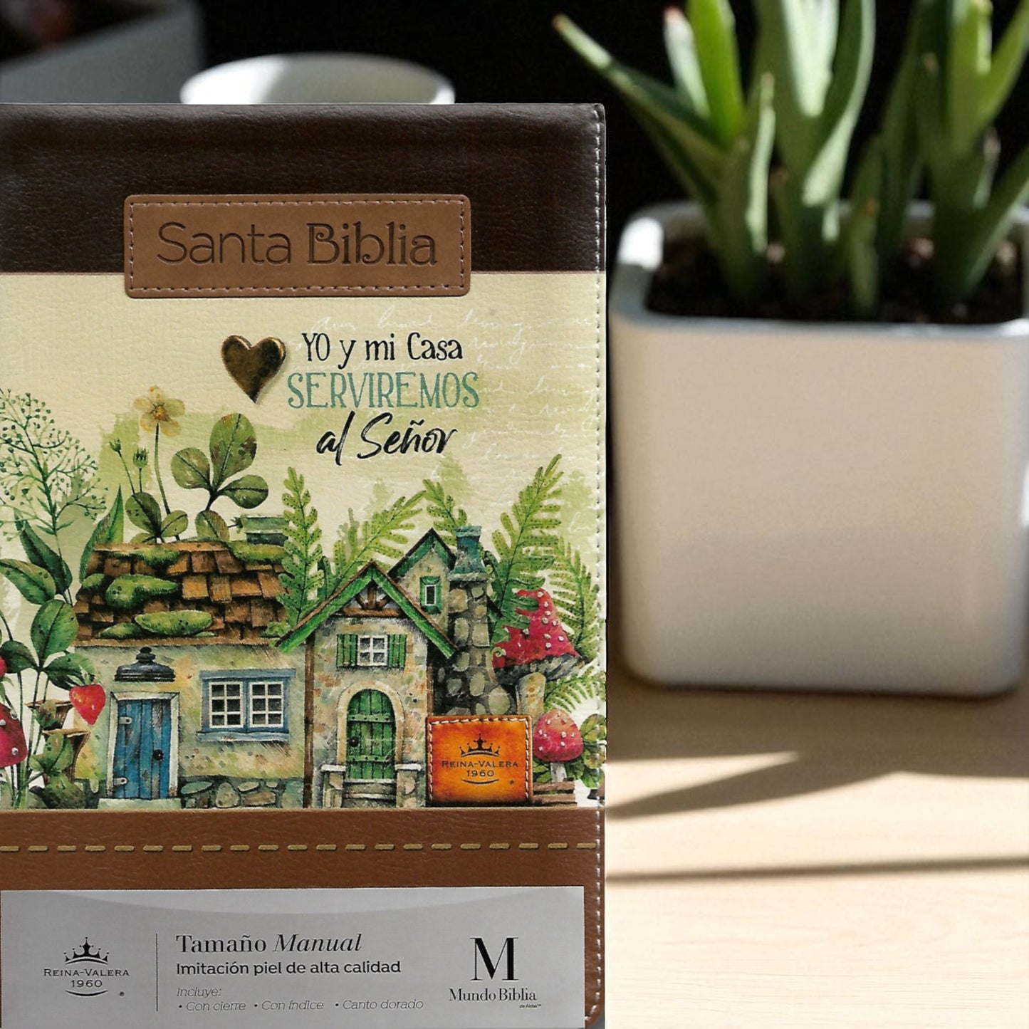 BIBLIA RVR1960 - CON CIERRE
