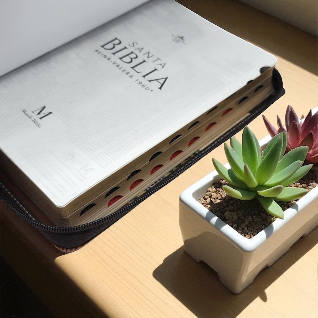 BIBLIA RVR1960 - CON CIERRE