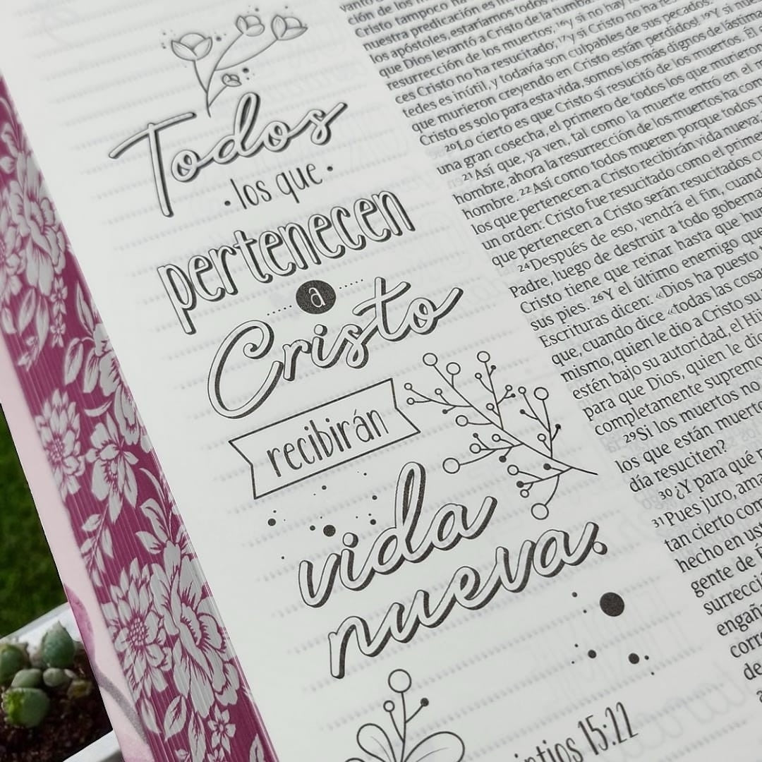 BIBLIA INSPIRA NTV
