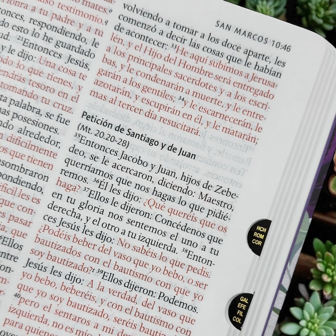 SANTA BIBLIA RVR1960 - FLORES